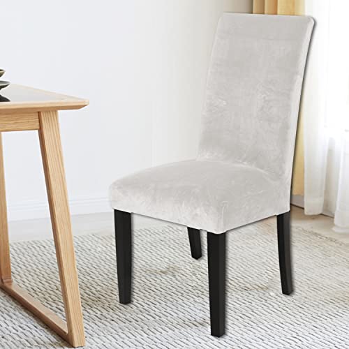 Housse de chaise velours extensible pour salle à manger | Lot de 6 - 4