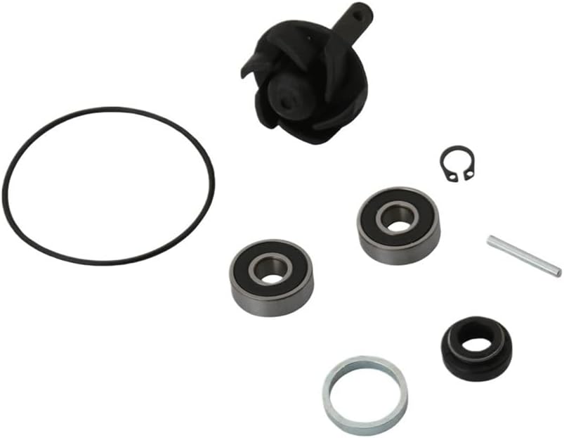 Water Pump Repair Kit for 51 50 Gr Ry Sc GP SR50 SR50 WWW 2T 100110010
