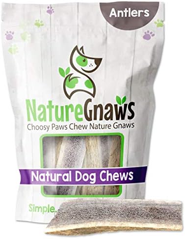 elk bones for dogs