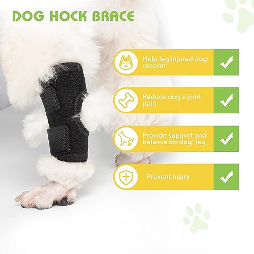 Image of Dog Leg Braces for Back Leg, Dog Knee Brace Compression Support for Dog Joints and Legs, for Injury and Sprain Protection, Wound Care and Lost of Arthrit Stability (Large)