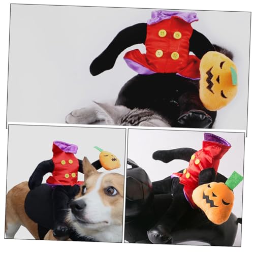 Disfraz Halloween Calabaza para Perros Talla Mediana miniatura 4