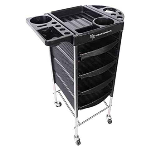 Friseur Schönheits Speicher Trolley
