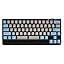 Cherry MX Silver