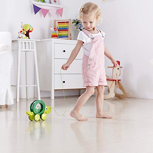 Image of Hape Tito Pull Along | Wooden Turtle with Swirling Shell Pull Toddler Toy, Green