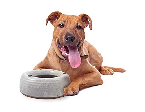 American Made Splash-Reducing Stoneware Pottery Water Bowl For Dogs And Cats (Small 24 Oz) #TOP2