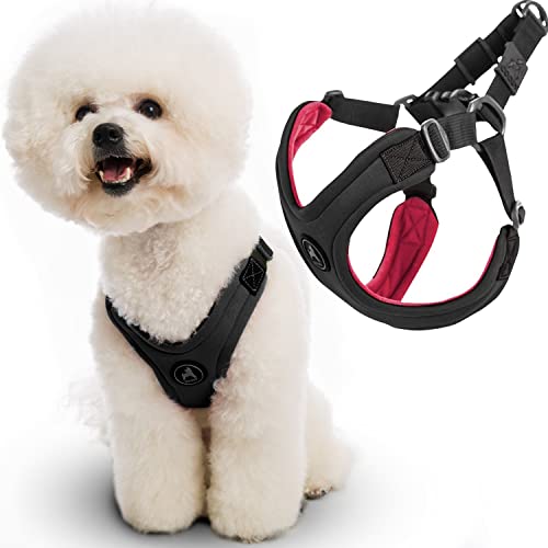 Gooby Escape Free Sport Harness - Black, Small - No Choke Step-In Patented Neoprene Small Dog Harness With Four-Point Adjustment - Perfect On The Go Dog Harness For Medium Dogs No Pull And Small Dogs #TOP25