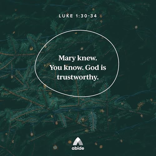 Mary Did You Know? Podcast Por  arte de portada