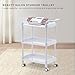 Facial Trolley ABS Beauty Salon 3 Layers Tray SPA Organizer Esthetician Rolling Cart with Wheels Large Storage ETTRO112(White)