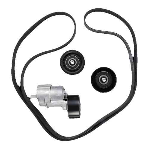 Poulie de renvoi tendeur évite rupture courroie accessoire Kia Hyundai 2006-2015