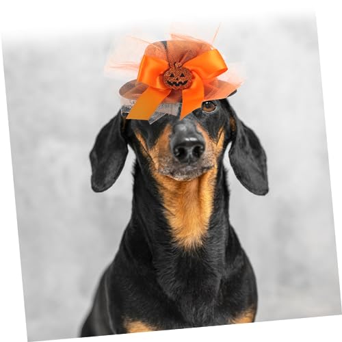 Disfraz Halloween con sombrero calabaza y falda tutu para perros y gatos miniatura 2