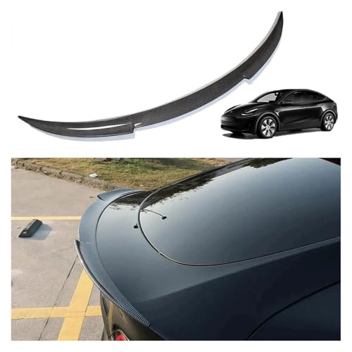 2020-2024N eX fY AgN ABS X|C[ bv e[EBO gNbh ANZT[ J[{t@Co[(Glossy Carbon)