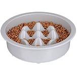 Neater Pet Brands Slow Feed Bowl Stainless Steel - Standard Bowls Fit Elevated Feeders (400g, Nine Peak)