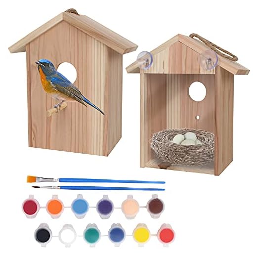 Window Bird House with Paint Kit Window Birdhouse Spy Birdhouse with Strong Suction Cups See Through Birdhouse for Kids My Spy Clear Birdhouse, Clear Birdhouse, Bird Nest, Craft