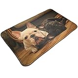 Photo Gallery 321 zerbino ingresso graziosa grafica bulldog francese zerbino divertenti zerbino da esterno morbido tappeto 40x60cm per camera da letto, cucina, ingresso esterno Photo Gallery 321 zerbino ingresso graziosa grafica bulldog francese zerbino divertenti zerbino da esterno morbido tappeto 40x60cm per camera da letto, cucina, ingresso esterno