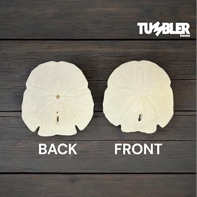 Tumbler Home Real Sand Dollars for Crafts (5 Pack), Large 4 inch Sand Dollars, Giant Shells for Crafts, Christmas Ornaments, Wedding Decorations, Nautical and Beach Decor
