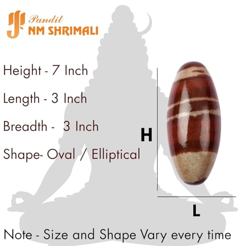 Image of PANDIT NM SHRIMALI Narmadeshwar Shivling Stone7 Inch | Shiva Lingam Banalingam from Narmada River | Vastu Remedy, Puja Jal Abhishekam, Home Temple Pooja