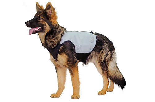 cani.cool(JjN[) N[WPbg OC M TCY