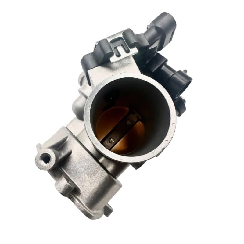 Amazon.com: Glintique Throttle Body Assembly for Hisun D34 D42 for
