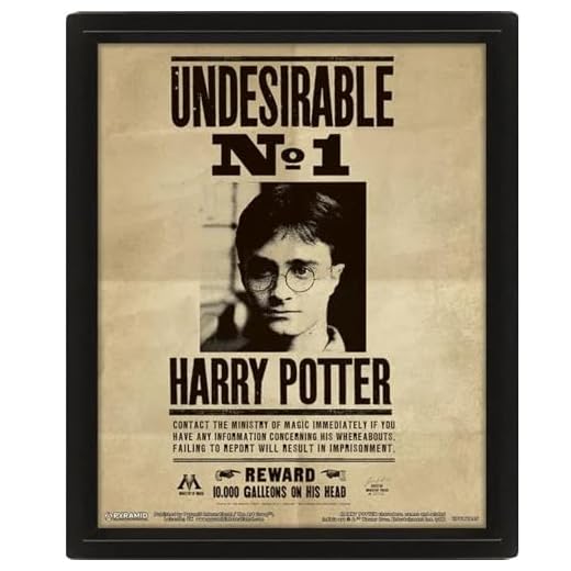 Harry Potter - Poster 3D Potter / Sirius, Negro, 10 x 8 x 1.3 cm