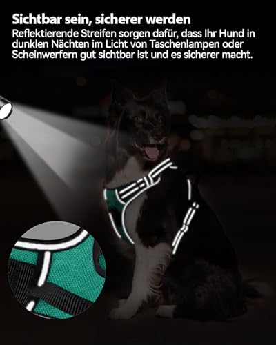 Joytale Hundegeschirr mittelgroße Hunde, reflektierendes Geschirr Hund,luftdurchlässige Hundegeschirr, verstellbares Brustgeschirr mit Griff beim Führen und Training, Türkis, M