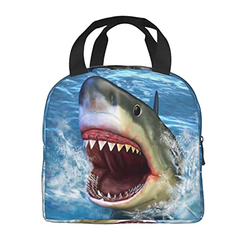 VOOHDDY Borsa termica per uomo per donna borsa per il pranzo riutilizzabile contenitore impermeabile portatile per ufficio picnic viaggi in spiaggia