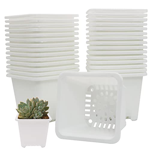GGOUPTY Macetas cuadradas de plástico, 30 unidades, 9,6 cm, color blanco, de plástico, con borde reforzado, macetas de cultivo Cover