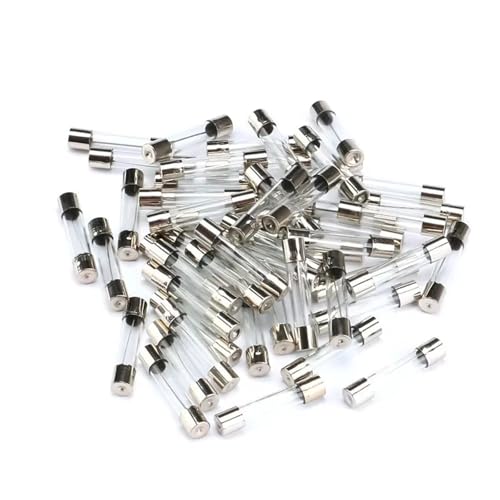 Fusible en verre 10A 5x20 mm à réaction rapide pour appareil électrique