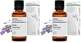 BIO - Olio essenziale LAVANDA SPICA - 30mL - 100% Puro, Naturale, Chemiotipizzato e Certificato AB - AROMA LABS (Marchio Francese) (Confezione da 2)