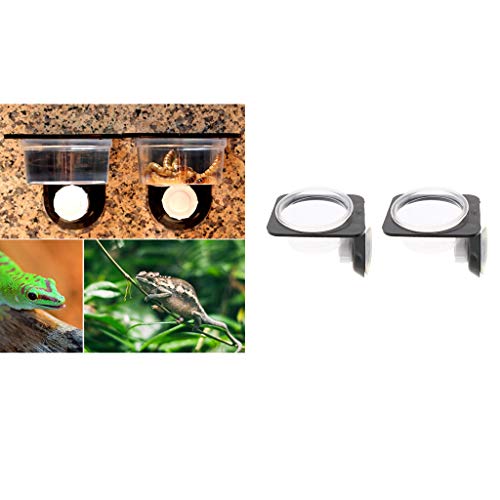 Baoblaze 4 Stuks Reptielen Voerbak Waterbak Drinkbak met Zuignap - Afbeelding 5