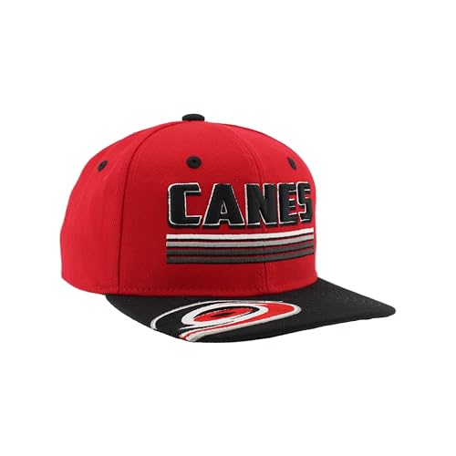Carolina Hurricanes NHL Officially Licensed Youth Adjustable Snapback Hat Flat Bill Z11 Pitch