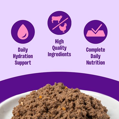 Wellness Complete Health Pate Adult Canned Wet Cat Food, Natural, Protein Rich, Grain Free, Beef and Chicken Dinner Recipe, 3 oz, Pack of 24 Cans - image 2