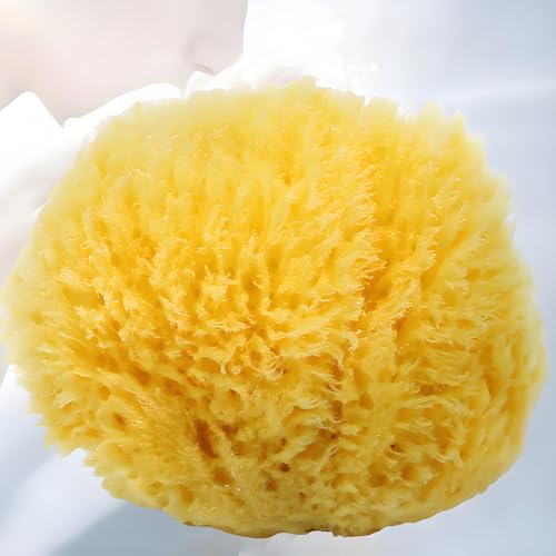 bath bath sponge
