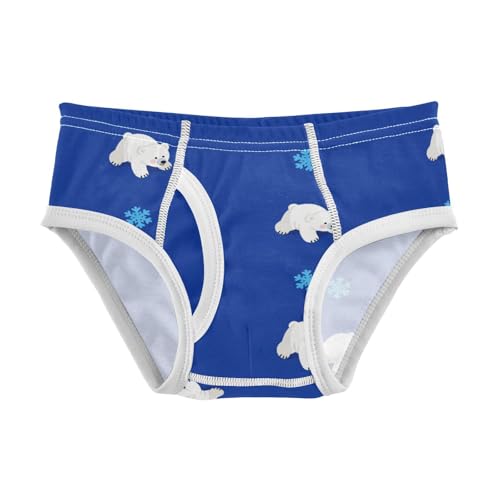 Cute Polar Bear Snowflake Blue Toddler Boy's Underwear 2T 2302235