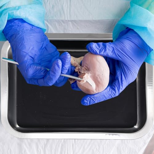 Image of Conelist 3 Set 10.2 x 7.5 Inch Stainless Steel Dissection Pan with Wax and Rubber Nonslip Mat, Reusable Classroom Dissecting Pan, Laboratory Tray for Biology Lab, Science Education Supplies (Black)