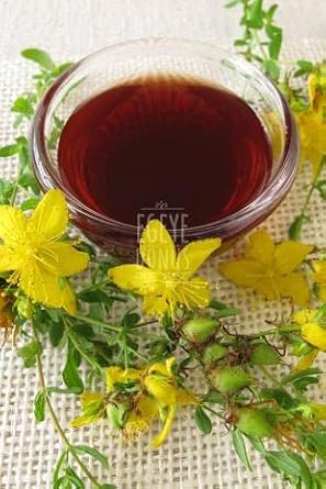 RETURN TO AEGEAN Traditional Pure Yellow St. John's Wort Oil - 100 Ml. (Beverageable and Spreadable - Massage - Skin Care)