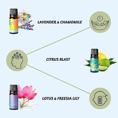Folkulture Essential Oil Set For Diffuser, Set Of 6 Organic Essential Oils For Diffusers For Home, Aromatherapy Diffuser Oil Scents - Lavender, Lily, Lemon, Patchouli, Sandalwood, Bergamot - Am To Pm #TOP2