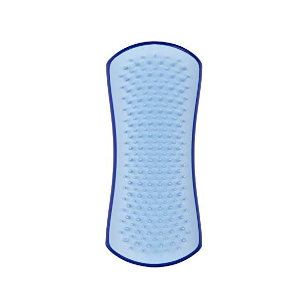Tangle Teezer Pet Teezer Small DeShedding and Dog Grooming Brush Dry Brush or Dog Bath