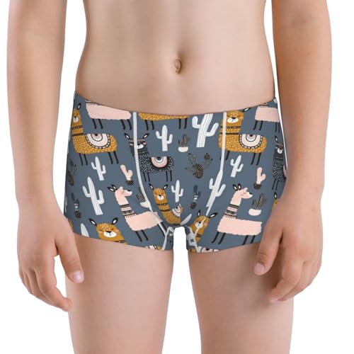 Boys' Cotton Boxer Brief Soft Underwear-Llama And Cactus