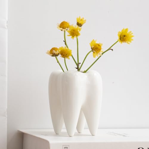 Wei&szlig;e Keramik-Zahn-Sukkulentent&ouml;pfe, Mini-Blumentopf, f&uuml;r Zuhause, B&uuml;ro, Zuhause, Innen- und Au&szlig;enbereich, Garten, Dekoration, tolle Geschenkidee, Mini-Kaktus