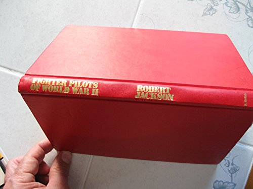 Fighter Pilots of World War II 0312288751 Book Cover