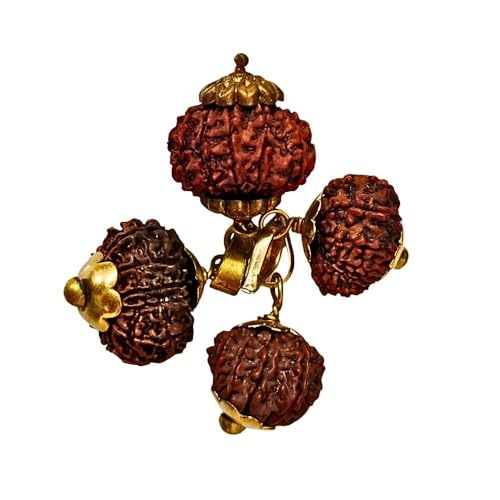 Colgante de Rudraksha nepalí de 1 a 13 Mukhi bañado en oro para hombre y mujer 3