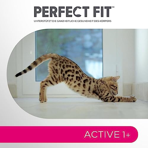 PERFECT FIT Adult Trockenfutter für erwachsene, aktive Katzen ab 1 Jahr - Rind, 750g (6 Beutel)