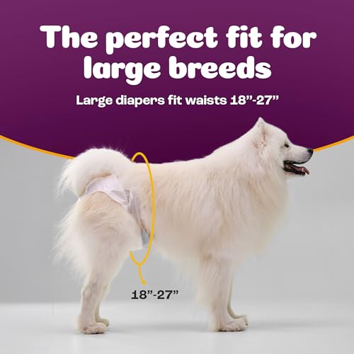 Image of Inspire Pet Care Dog Diapers Female Dogs | Bulk Value Doggie Incontinence, Accidents, for Heat, Pee or Period and Housebreaking (Large (60 Count))