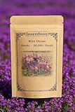 LOSEEDSOO Wild Thyme Seeds – 20,000+ Seeds, Perennial Ground Cover Plant for Outdoor Garden & Landscaping