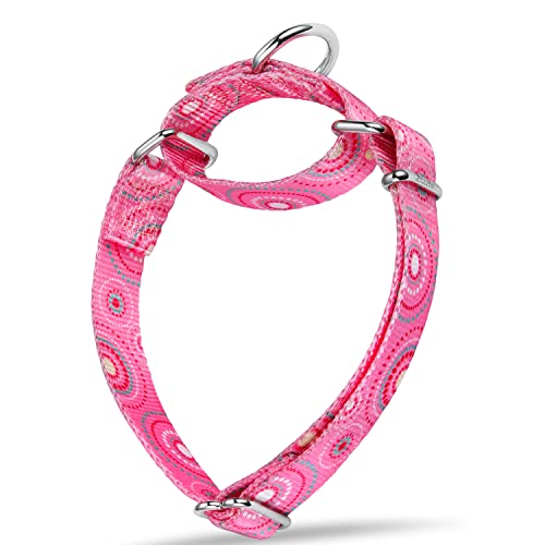 8 Best Martingale Dog Collars [2023 Reviews]