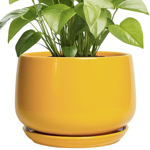 G EPGardening Ceramic Flower Pot, 9 Inch Plant Pots, Yellow