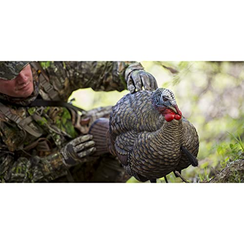 Avian X LCD 1/2 Strut Jake Turkey Decoy by Avian-X - Image 3