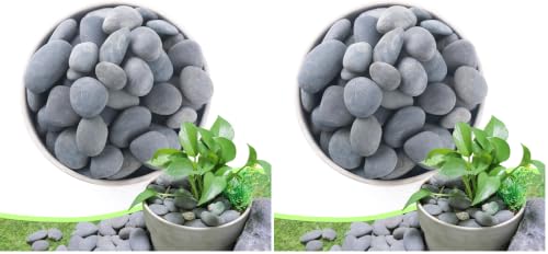 Image of 2.4LB River Rocks,Mexican Beach Pebbles for Plants,Potting,Garden Landscape Stone Paving Stone Grey 1Inch - 2Inch (Pack of 2)