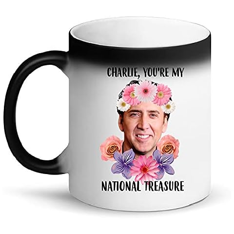 Suchmugs Personalized You're My National Treasure Heat Reveal Color Changing Mug, Funny Birthday Mug For Son, Anniversary Coffee Mug For Husband From Wife, Nicolas Cage Mug, Boyfriend 11 oz Cup Cover