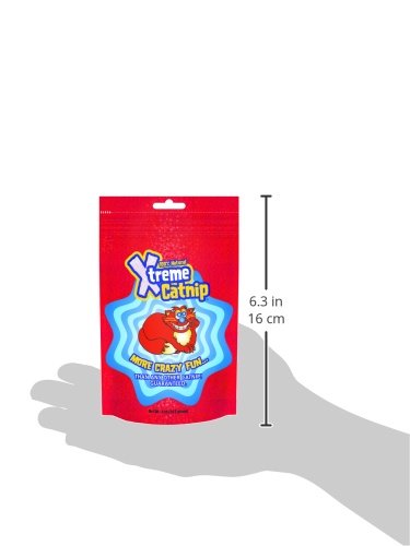 Xtreme Catnip Leaf, 0.5 Oz. – 100% Natural Organically Grown, Super Concentrated Catnip Leaves – Non-Addictive, Fun Cat Treat – Use On Toys, Scratching Posts, Food And More #TOP6